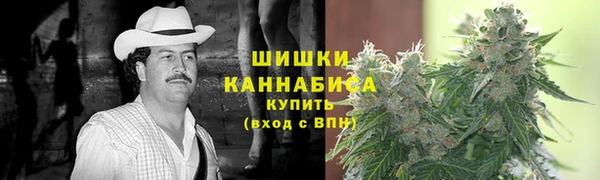 мдпв Надым
